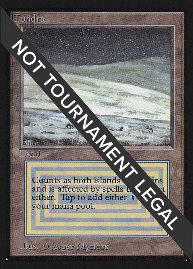 マジック：ザ・ギャザリング Tundra poor MTG, マジック:ザ