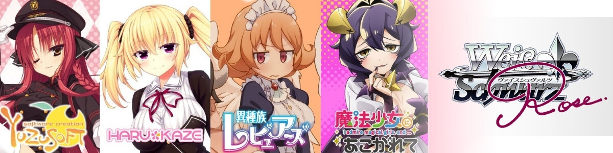 Others Supplies](USED) 『詠』デッキセパレーター 「閃乱カグラTCG