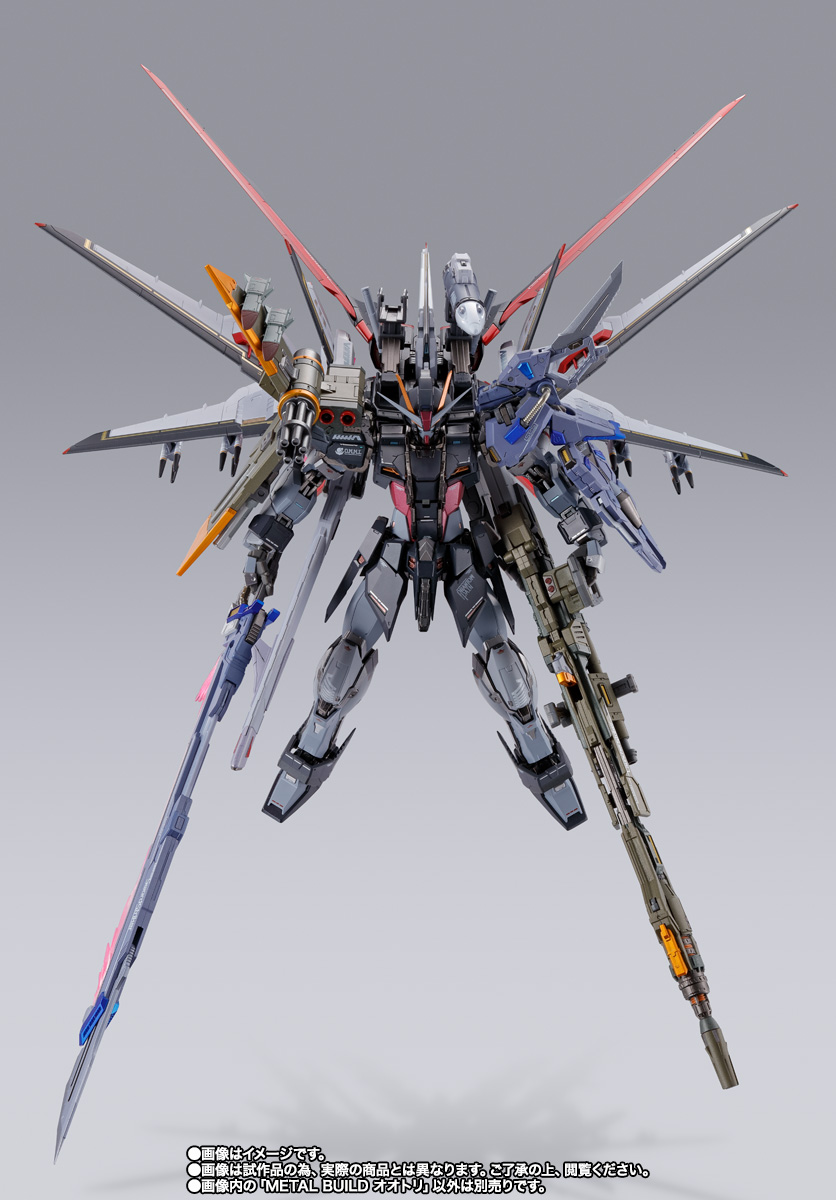 METAL BUILD オオトリ | 魂ウェブ