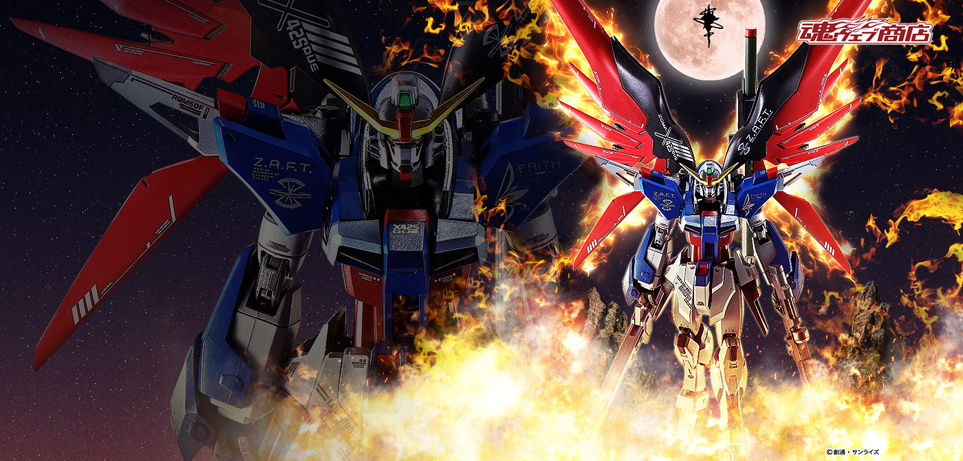 METAL ROBOT魂 ＜SIDE MS＞ デスティニーガンダム ［Re:Coordinate