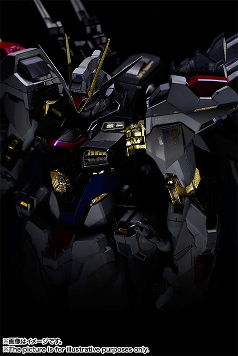 METAL BUILD ストライクフリーダムガンダム | 魂ウェブ