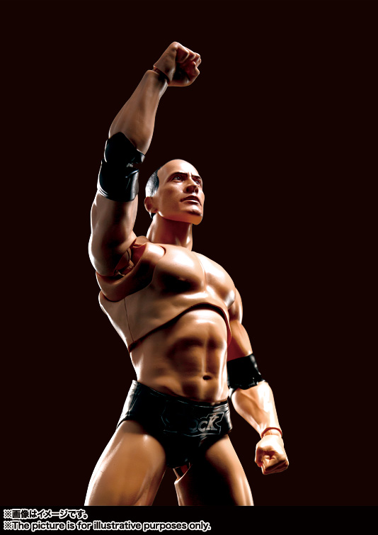 S.H.Figuarts The Rock | 魂ウェブ