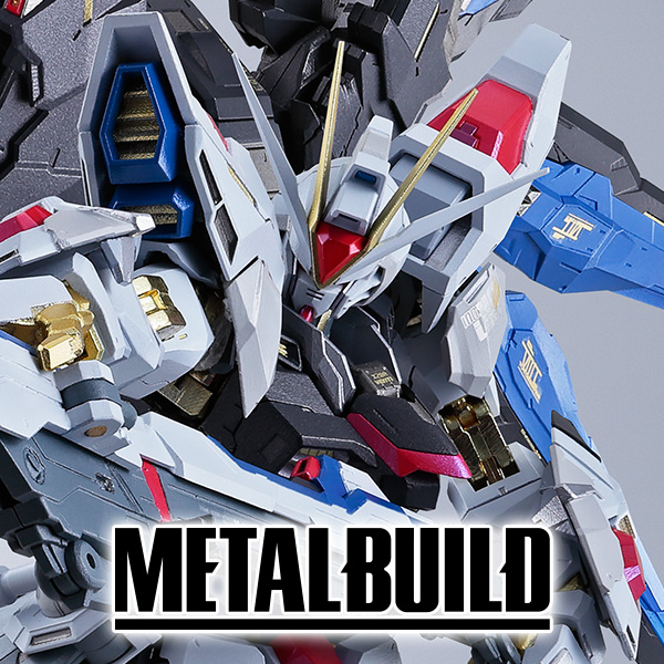 METAL BUILD ストライクフリーダムガンダム 光の翼オプションセット