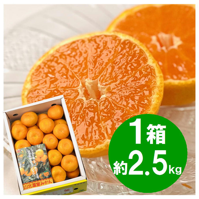 発送は6月から』 山北ハウスみかん 2.5kg – TABEGORO 土佐山田