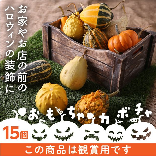 ハロウィン観賞用おもちゃかぼちゃ 40個 サチ5 B ハロウィン観賞用