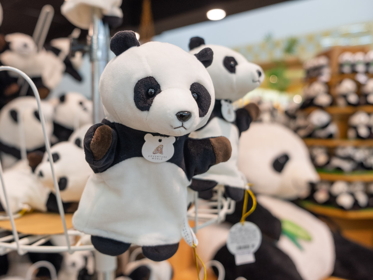 パンダ土産だらけ！グッズにスイーツ＠アドベンチャーワールドがすごい
