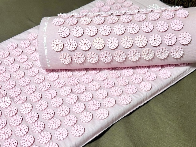 インド発祥のシャクティマットがスゴすぎた】剣山の上で寝る！？美容