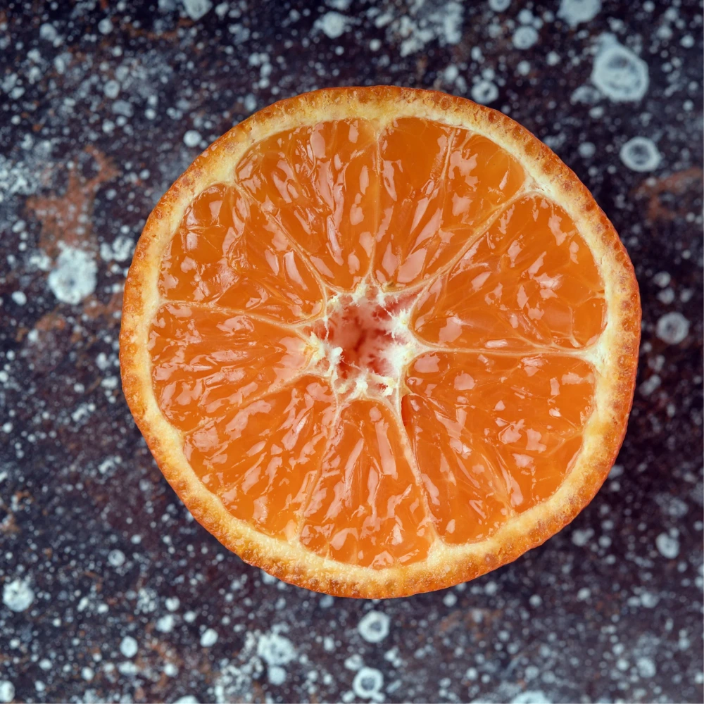 ao.(アオ) FRAGRANCE HERBAL DIFFUSER ハンドメイドディフューザー