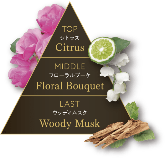 セット定期】ザ マイトル メルティナイトクリーム 2個セット: TLトップ