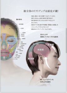 話題の美顔器 TERAMEE SPLASH PULSE2700 入荷致しました‼｜豊田市の