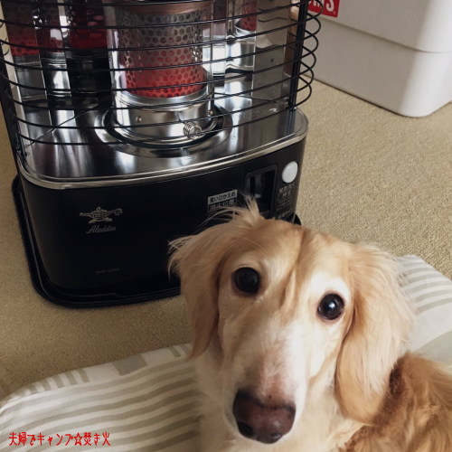 アラジン　石油ストーブ　AKP-S248 新品未使用 アラジン 石油ストーブ AKP-S248 災害時にも｜Yahoo!フリマ