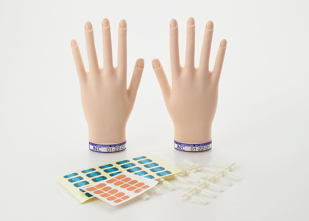 STモデルハンド右手&左手 ネイリスト技能検定試験用 JNEC認定モデルハンド STモデルハンド セット | Nail Labo Online Shop ネイルラボ