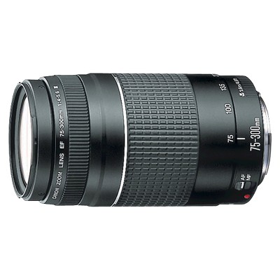 CANON EF 75-300mm f/4-5.6 III: DSLR Camera Lens, Compatible with
