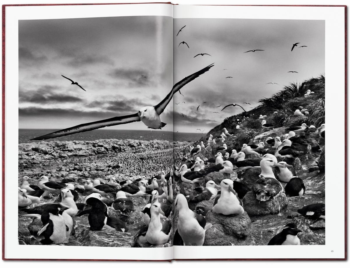 Sebastião Salgado. GENESIS, Art Edition No. 1–100. TASCHEN Books