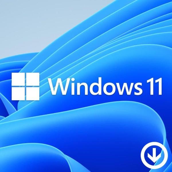 Windows 11 Professional プロダクトキー [Microsoft] 1PC