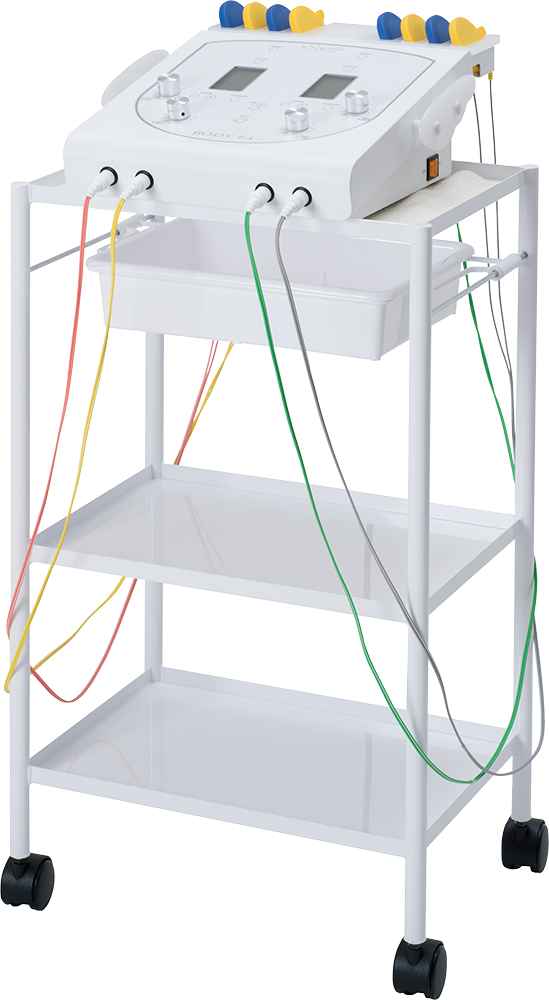 セラピム ボディE4 | 株式会社テクノリンク