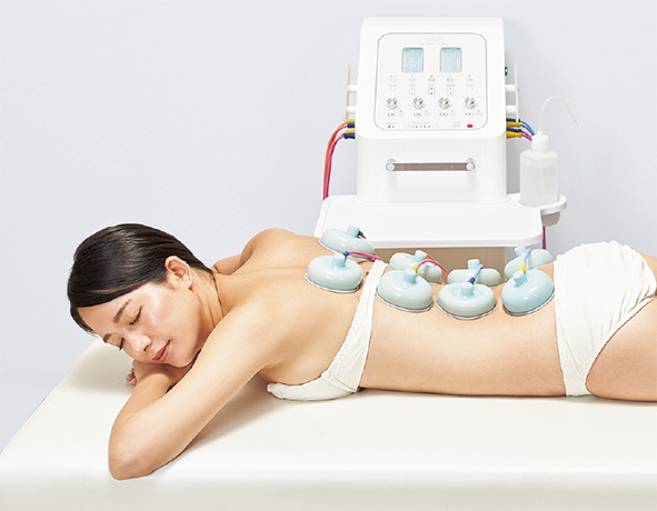 セラピム ボディ P4α | 株式会社テクノリンク