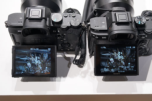 これで全てが分かる！ミラーレス一眼