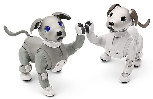 エンタテインメントロボット”aibo”に2021年限定カラーモデル「黒ごま