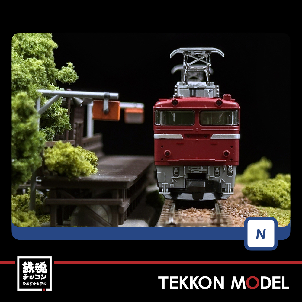 Nｹﾞｰｼﾞ TOMIX 7173 EF81形(JR東日本仕様・双頭形連結器付) - 鉄魂模型