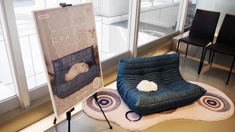 猫がくつろげるソファ「にゃんトーゴ」登場！ロゼトーゴ50周年を記念し