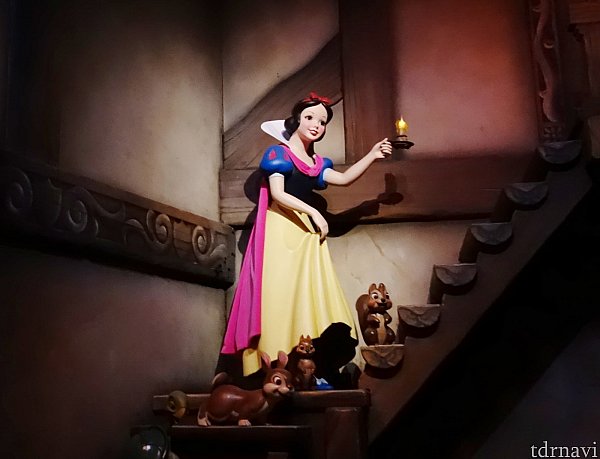 白雪姫のエンチャンテッド・ウィッシュ | ディズニーランド