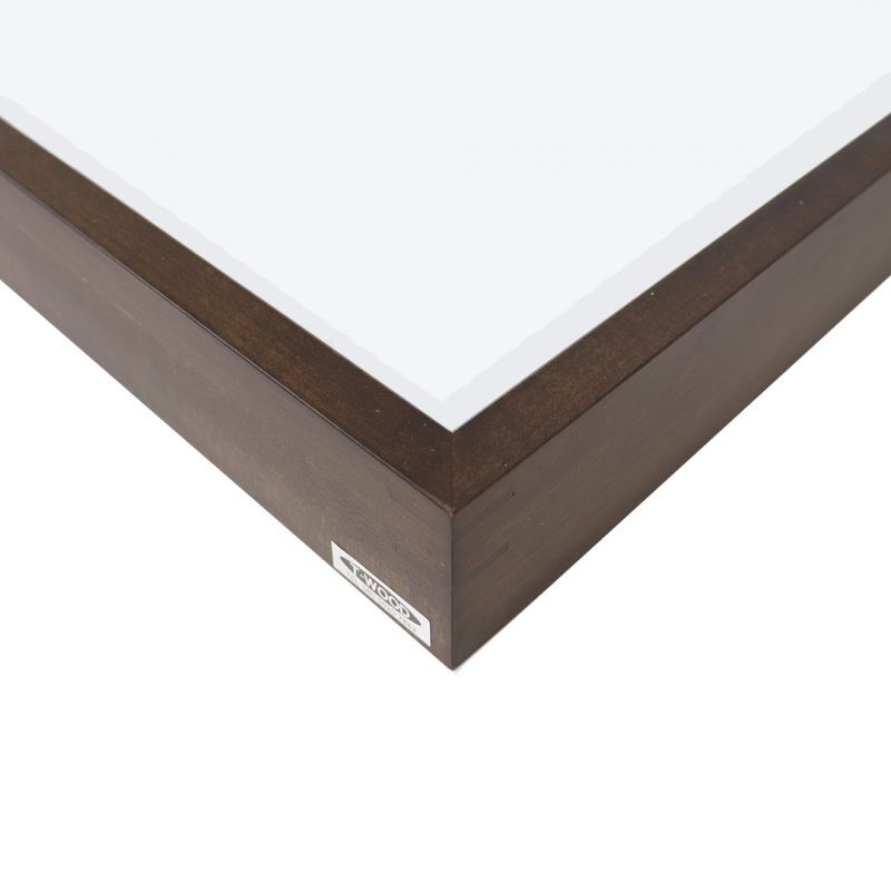 T型 昆虫標本箱（ドイツ箱）/T-WOODオリジナル