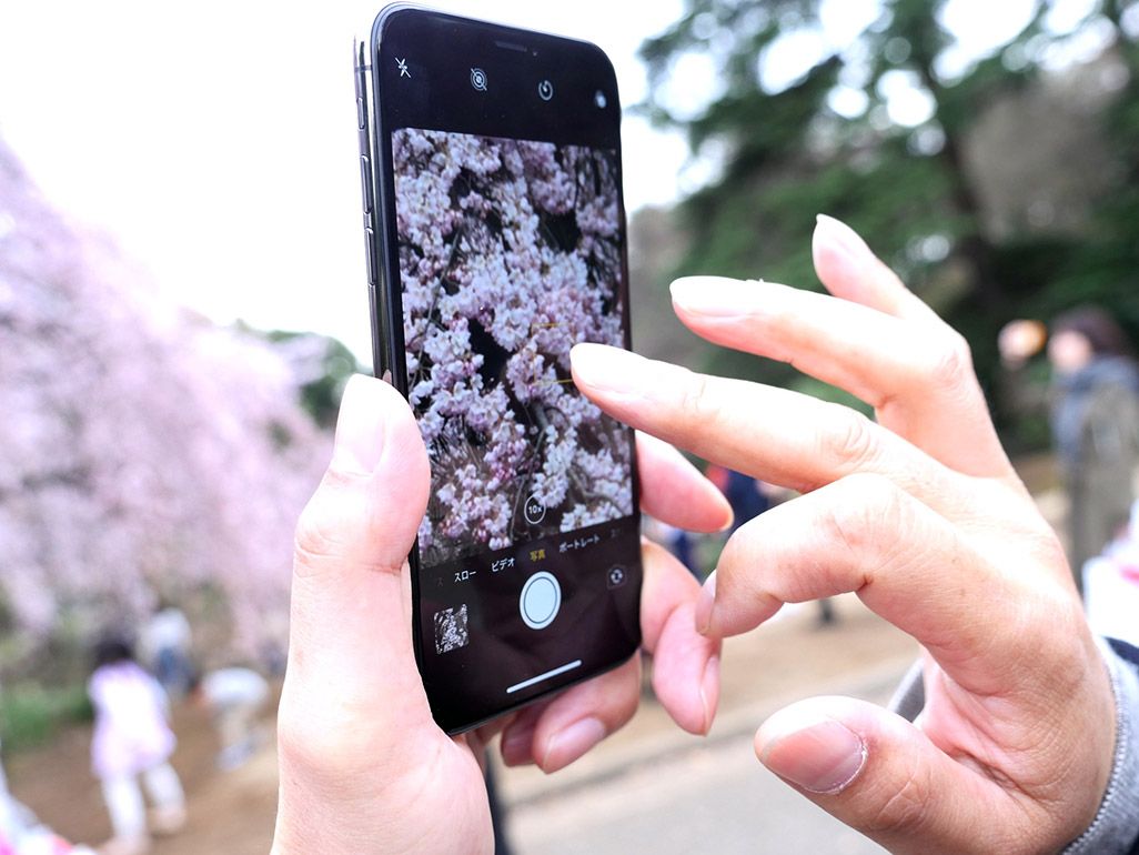 花見の季節にスマホでキレイに桜を撮る！ プロの写真家が使う5つのテク