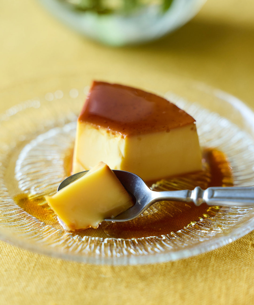 Picard & Wielputz（ピカード＆ヴィールプッツ）】 ランドハウス