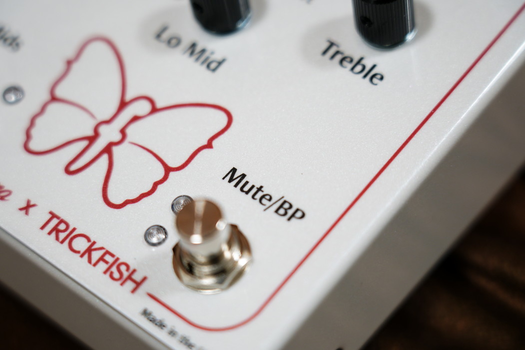 Fodera X Trickfish Preamp and Practice Amp / ベース専門店 タイズストア