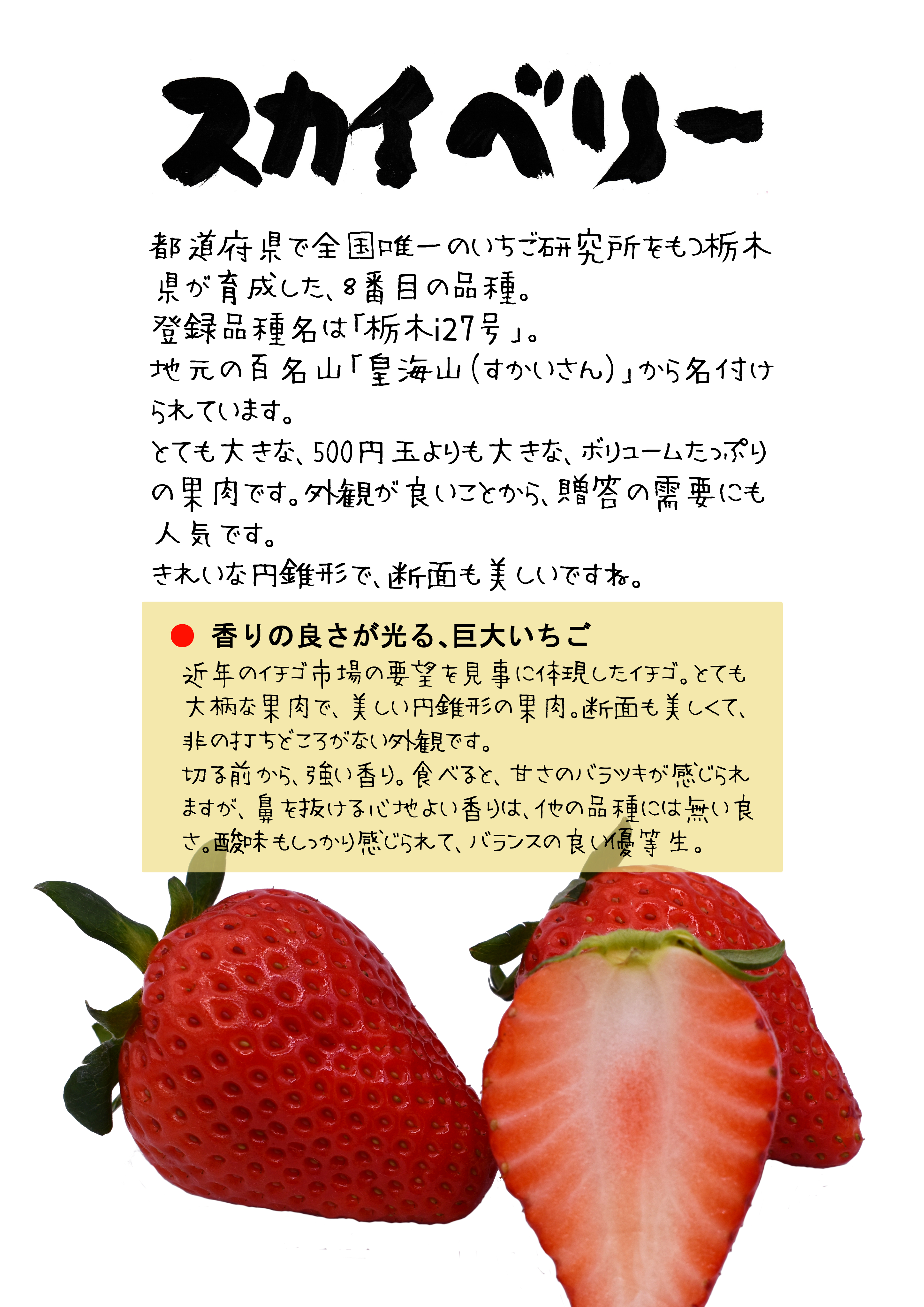 素材ダウンロード｜心にチクっとささるワードで作る「ちくわPOP