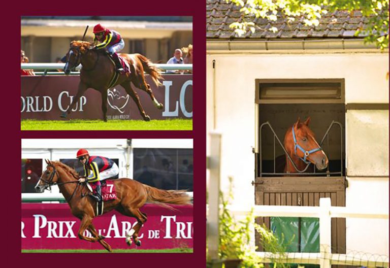 ユーキ オルフェーヴル 引退式額装写真 レース写真同梱 ユーキ様専用