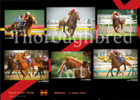 上鈴木正一「オルフェーヴル15」油絵原画F6号 | サラブレッドアート