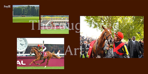 オルフェーヴル引退記念写真集(下巻) | サラブレッドライフ