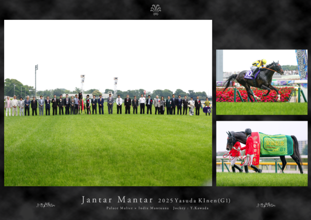 有馬記念・皐月賞優勝記念○スタイルパネル○ミュージアムマイル