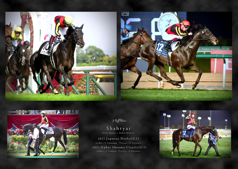 有馬記念・皐月賞優勝記念○スタイルパネル○ミュージアムマイル