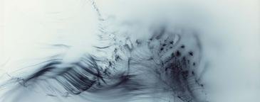 Wolfgang Tillmans, Serpentine Gallery | The Arts Desk