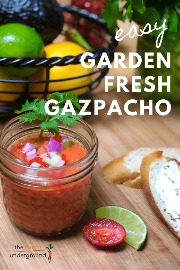 Easy Garden Fresh Gazpacho - The Carrot Underground🥕