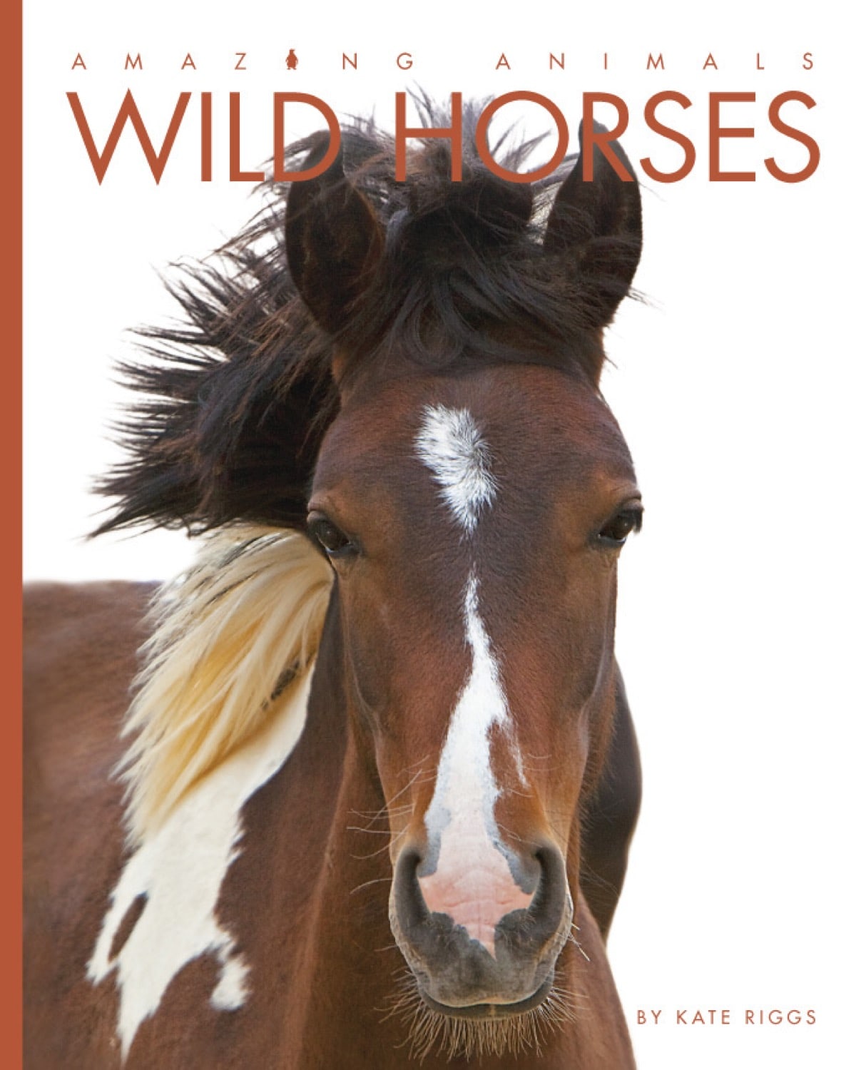 Wild Horses – The Creative Company