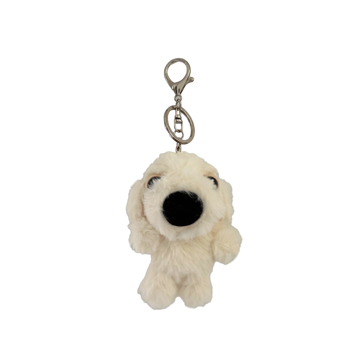 ビション・フリーゼ | THE DOG STORE | THE DOG 公式オンラインショップ