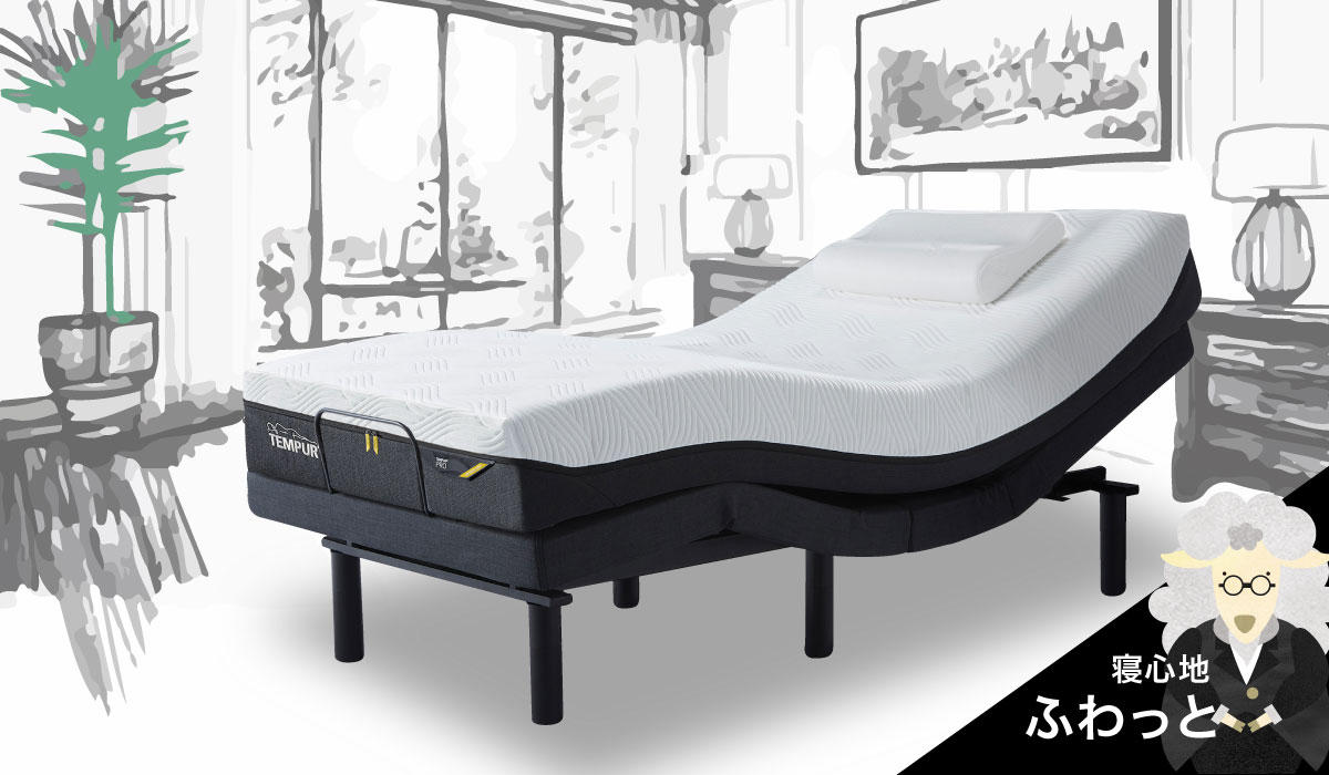 ゼロジーコンフォート & テンピュールプロエアプラスセット | 沖縄県の
