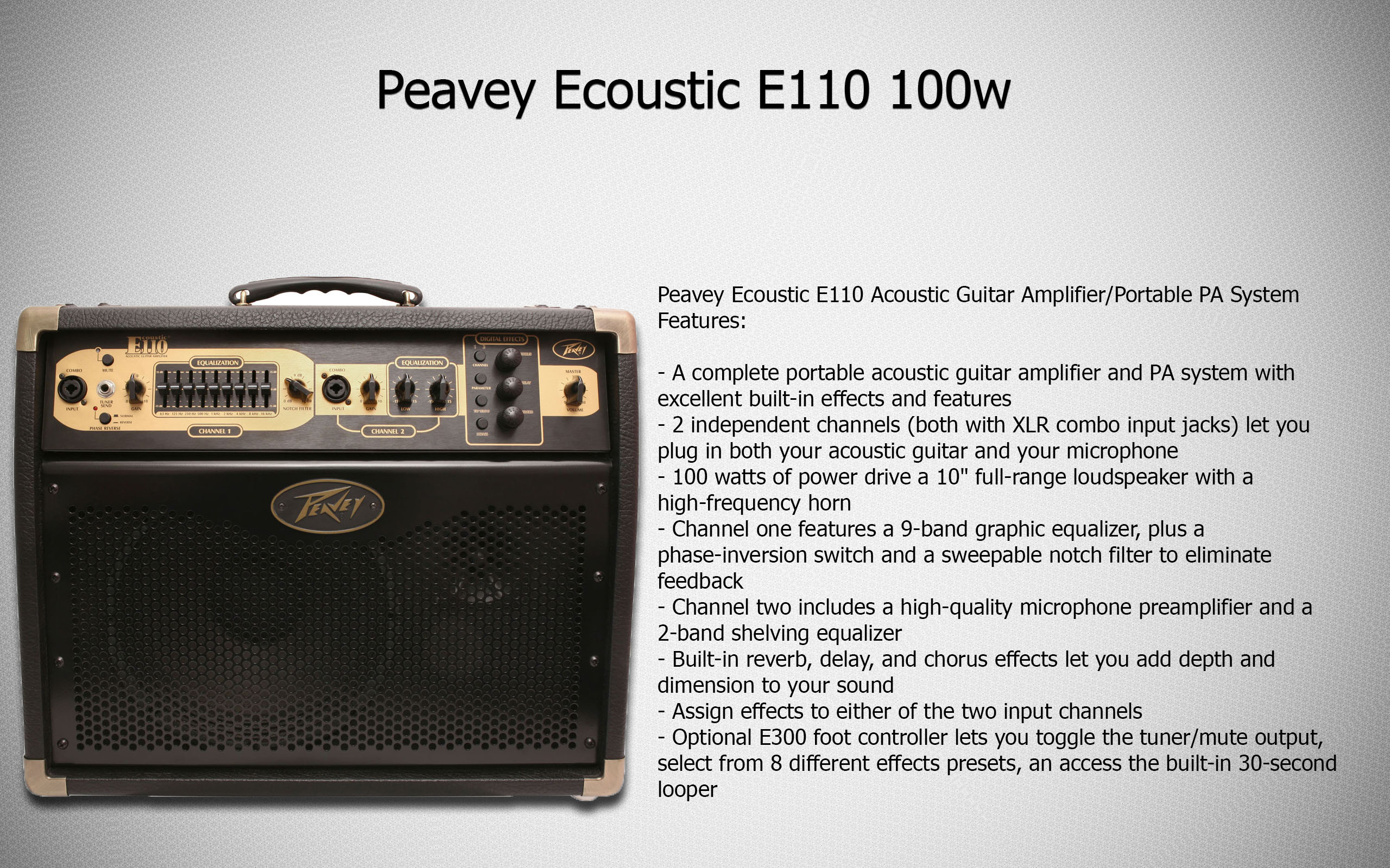 Peavey Ecoustic E110 100w - The Guitar Store