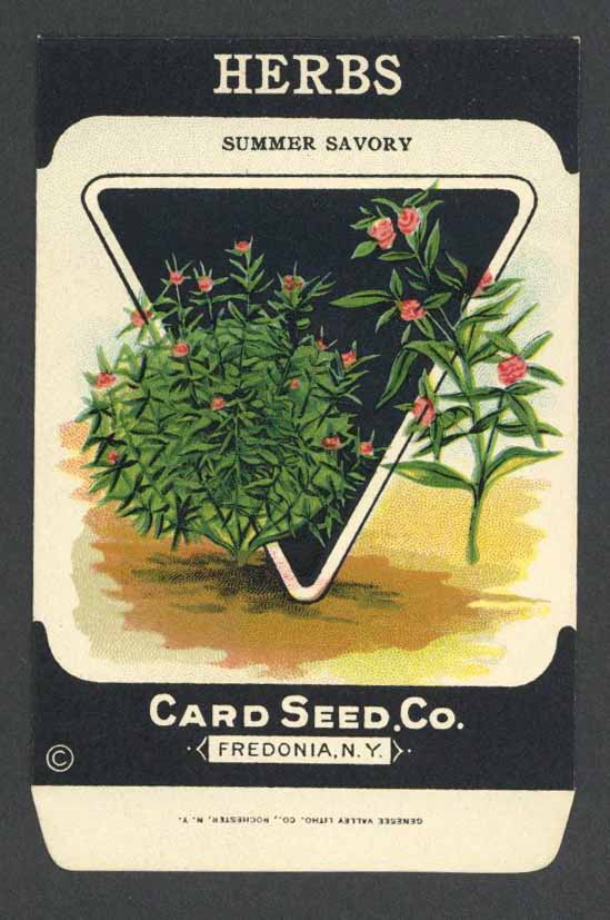 Vintage Seed Packets 1900-1940 – Page 4 – thelabelman