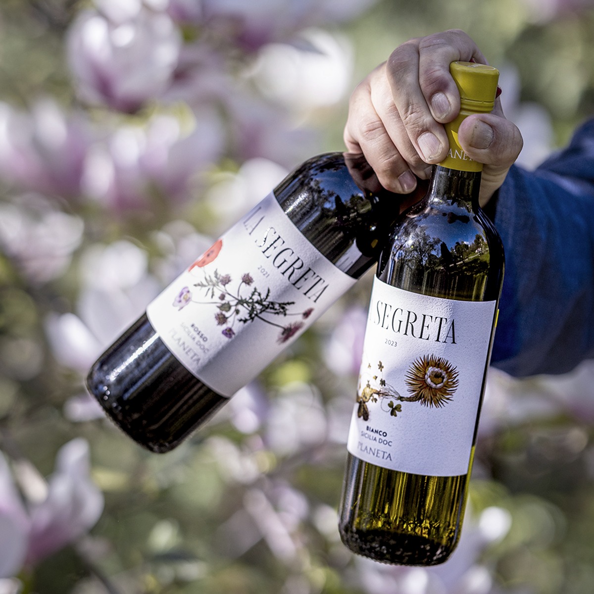 プラネタ社を代表するワイン「ラ・セグレタ」の新ラベルに込められた