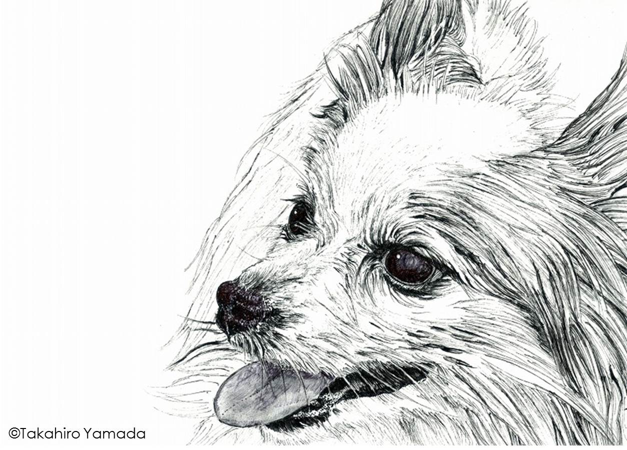 絵画『犬』ヘイ平山画