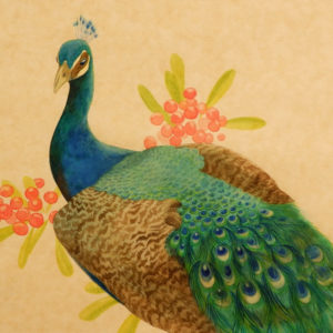 孔雀【額付き】 | 古志泰子 ｜インテリア絵画 アートの専門通販