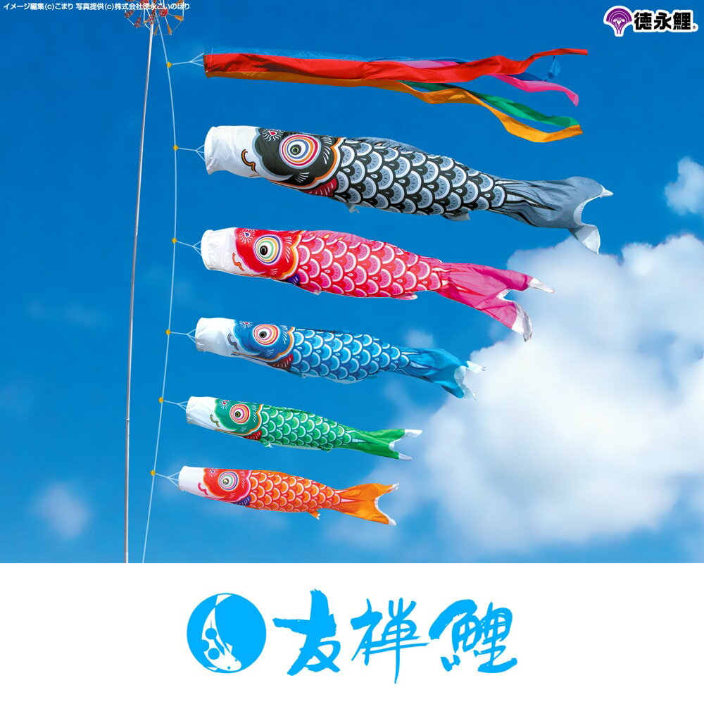 ワタナベ鯉のぼり かなめ鯉 | prefer