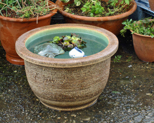 楽天市場】水槽 おしゃれ（ガーデニング・農業｜花・ガーデン・DIY）の通販