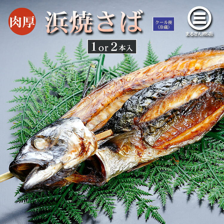 楽天市場】焼鯖 そうめんの通販