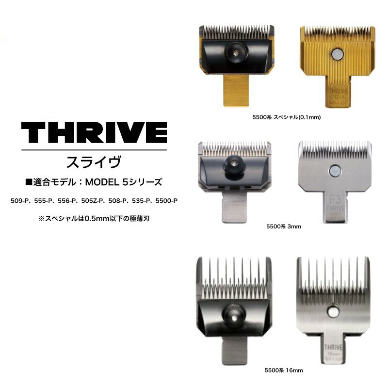 楽天市場】スライヴ 替刃 3mmの通販